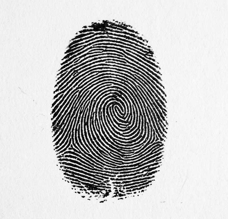 Cannabis Genetic Fingerprinting: Breeding vs. Identity Are Different Questions