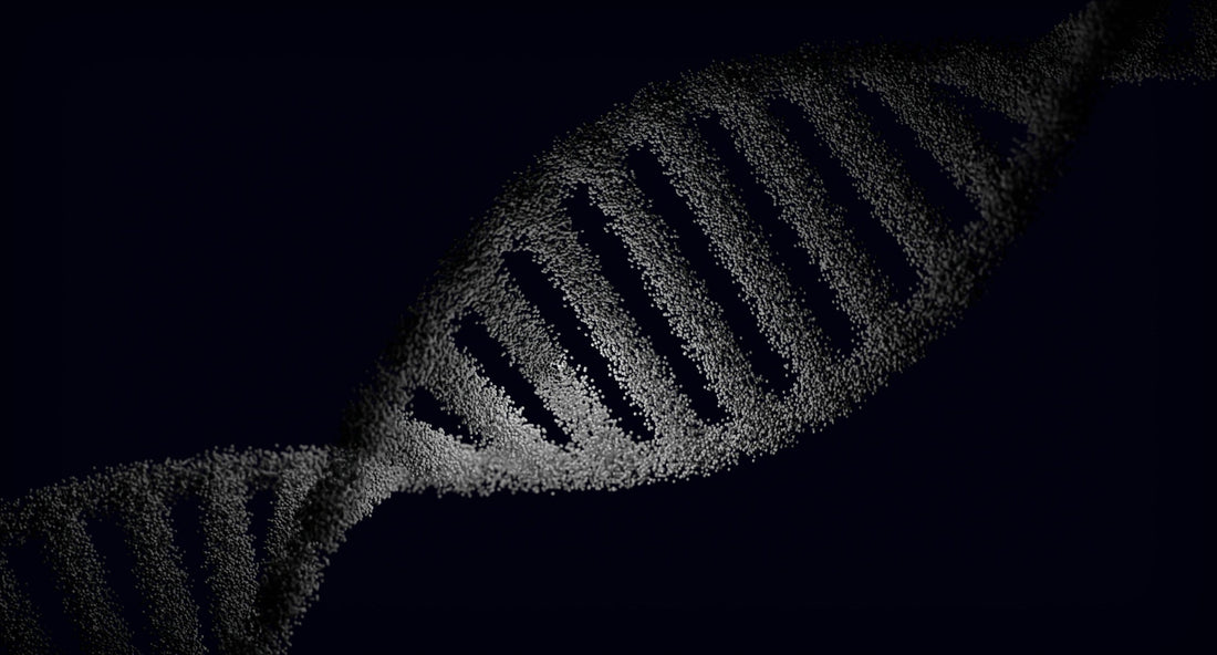 How DNA Sequencing Protects Cannabis IP: SNPs, Indels, and Genetic Fingerprinting